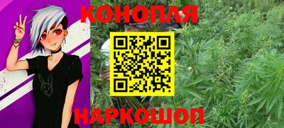 mdpv Гатчина