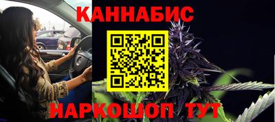 mdpv Гатчина