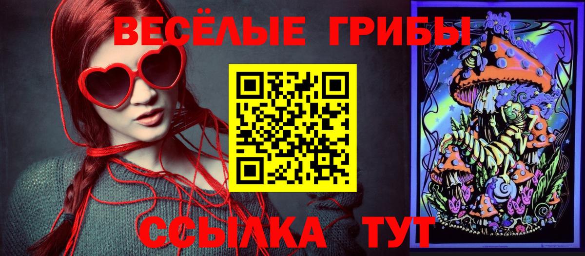 Набережные Челны  Галлюциногенные грибы Cubensis  Вход с VPN 