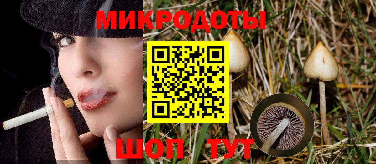Галлюциногенные грибы Magic Shrooms Набережные Челны